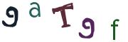 Obrázkové CAPTCHA