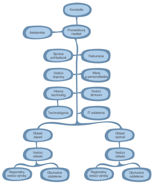 Organizacna struktura