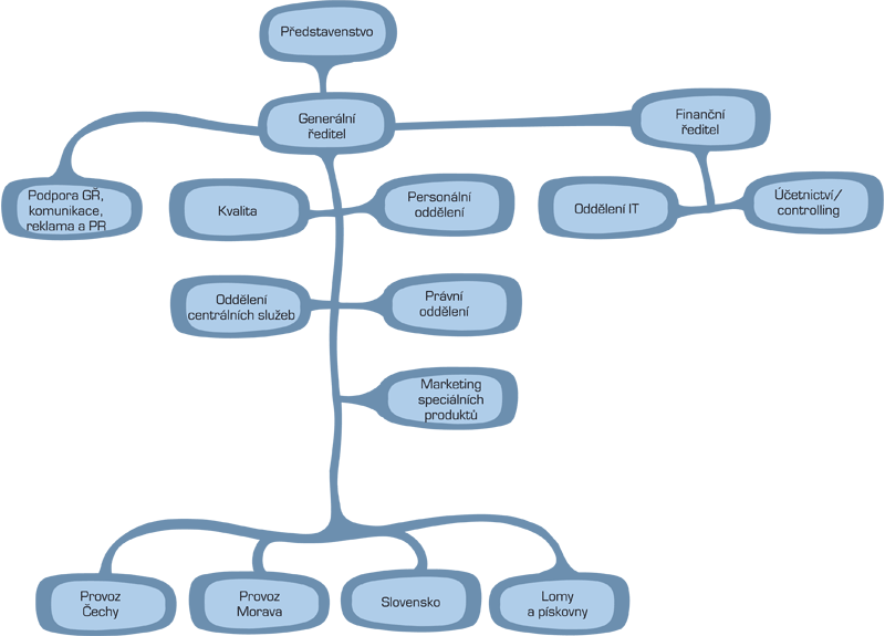 Organizační struktura