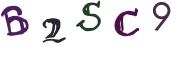 Obrázková CAPTCHA