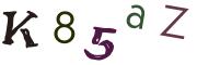 Obrázková CAPTCHA