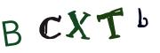 Obrázková CAPTCHA