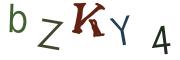 Obrázková CAPTCHA