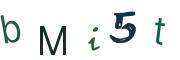 Obrázková CAPTCHA