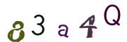 Obrázková CAPTCHA