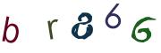 Obrázková CAPTCHA