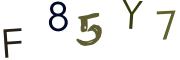 Obrázková CAPTCHA