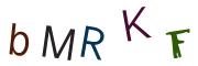 Obrázková CAPTCHA