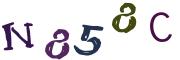 Obrázková CAPTCHA