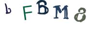 Obrázková CAPTCHA