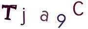 Obrázková CAPTCHA
