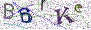 Obrázková CAPTCHA