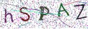 Obrázková CAPTCHA