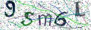 Obrázková CAPTCHA