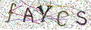 Obrázková CAPTCHA