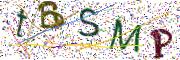 Obrázková CAPTCHA
