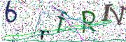 Obrázková CAPTCHA