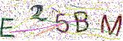 Obrázková CAPTCHA