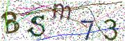 Obrázková CAPTCHA