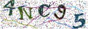 Obrázková CAPTCHA