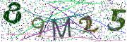 Obrázková CAPTCHA