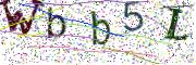 Obrázková CAPTCHA