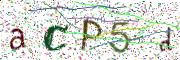 Obrázková CAPTCHA