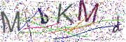 Obrázková CAPTCHA