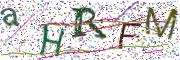 Obrázková CAPTCHA