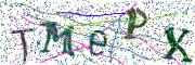 Obrázková CAPTCHA