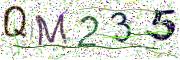 Obrázková CAPTCHA