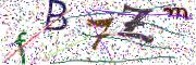 Obrázková CAPTCHA