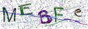 Obrázková CAPTCHA