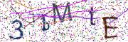 Obrázková CAPTCHA