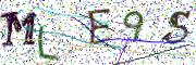 Obrázková CAPTCHA