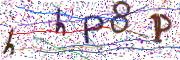 Obrázková CAPTCHA