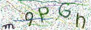 Obrázková CAPTCHA