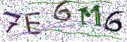 Obrázková CAPTCHA