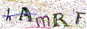 Obrázková CAPTCHA