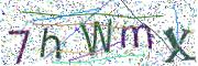 Obrázková CAPTCHA