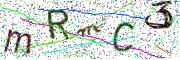 Obrázková CAPTCHA