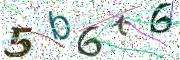 Obrázková CAPTCHA