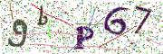 Obrázková CAPTCHA