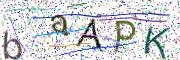 Obrázková CAPTCHA