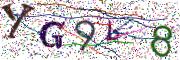 Obrázková CAPTCHA