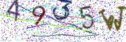 Obrázková CAPTCHA