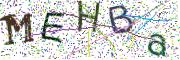 Obrázková CAPTCHA
