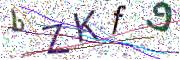 Obrázková CAPTCHA