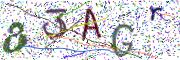 Obrázková CAPTCHA
