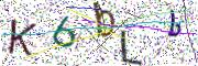 Obrázková CAPTCHA
